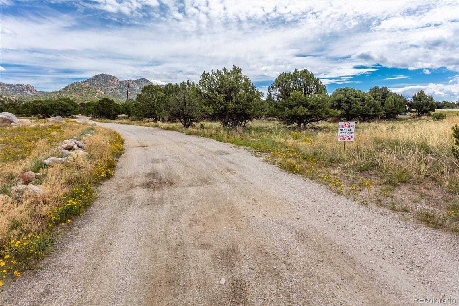 30224 N Us Highway 24 Buena Vista CO 81211
