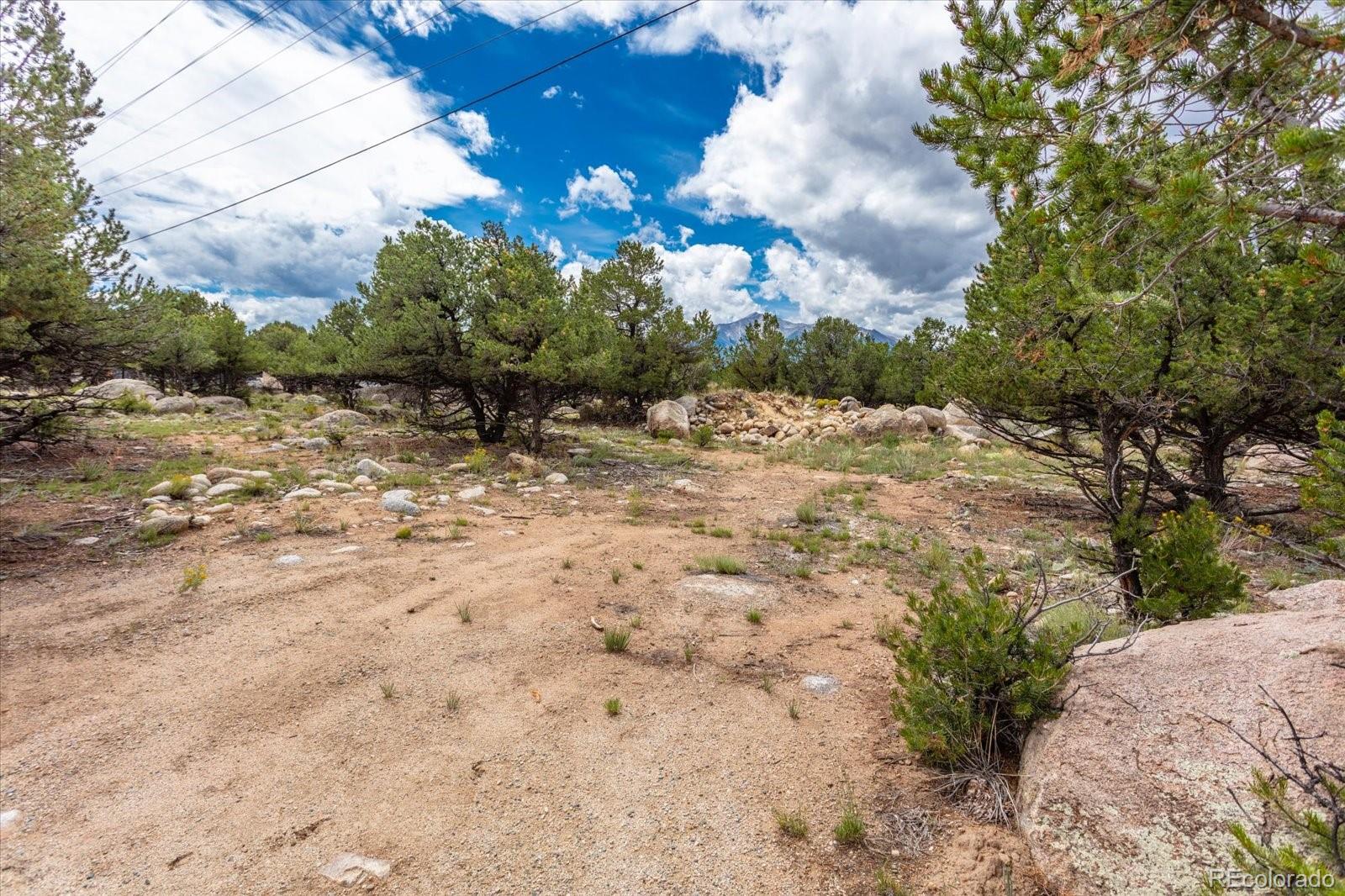 30224 N Us Highway 24 Buena Vista CO 81211