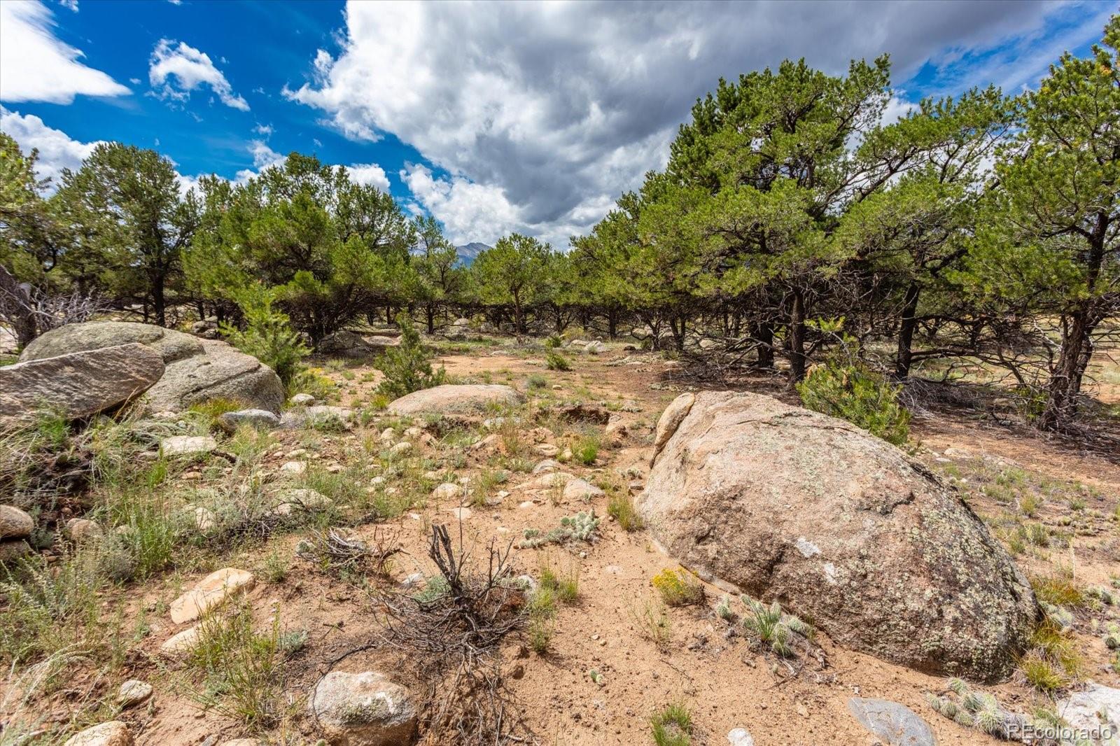 30224 N Us Highway 24 Buena Vista CO 81211
