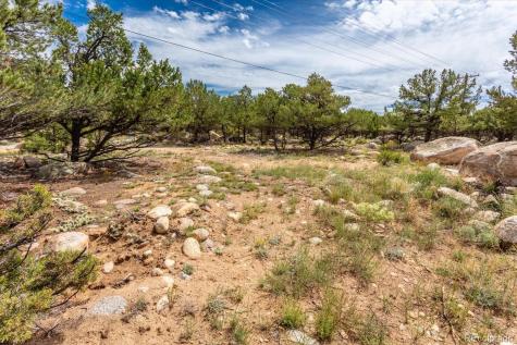 30224 N Us Highway 24 Buena Vista CO 81211