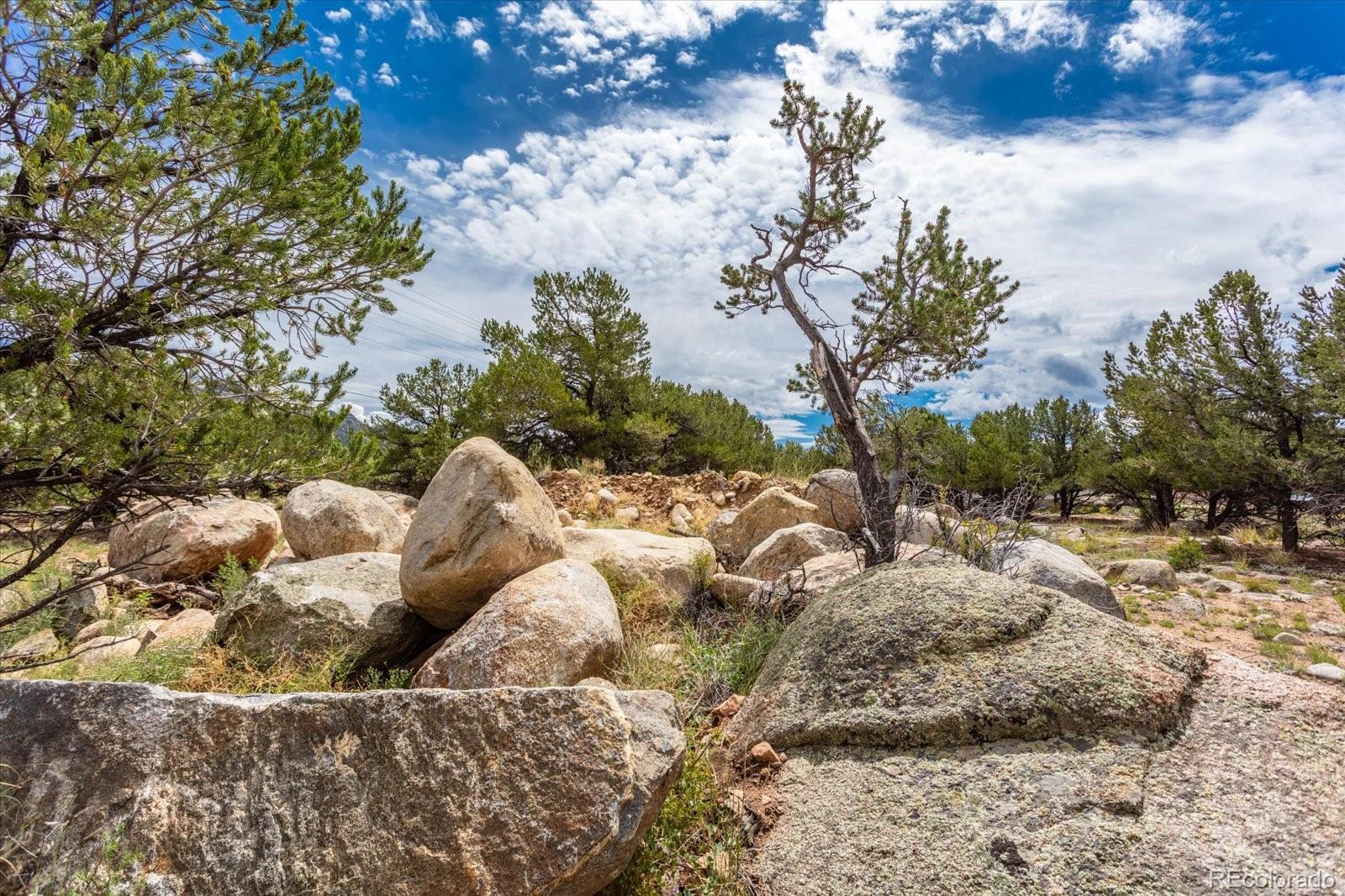 30224 N Us Highway 24 Buena Vista CO 81211