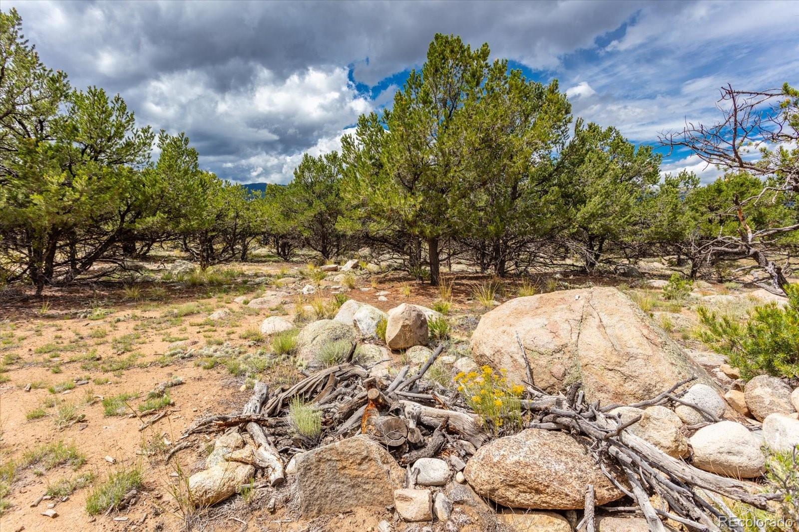 30224 N Us Highway 24 Buena Vista CO 81211