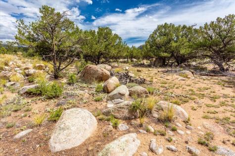 30224 N Us Highway 24 Buena Vista CO 81211