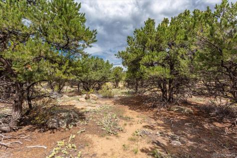 30224 N Us Highway 24 Buena Vista CO 81211