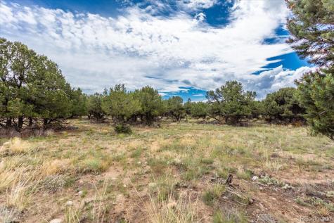 30224 N Us Highway 24 Buena Vista CO 81211