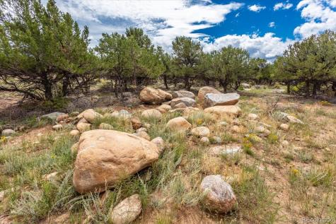 30224 N Us Highway 24 Buena Vista CO 81211