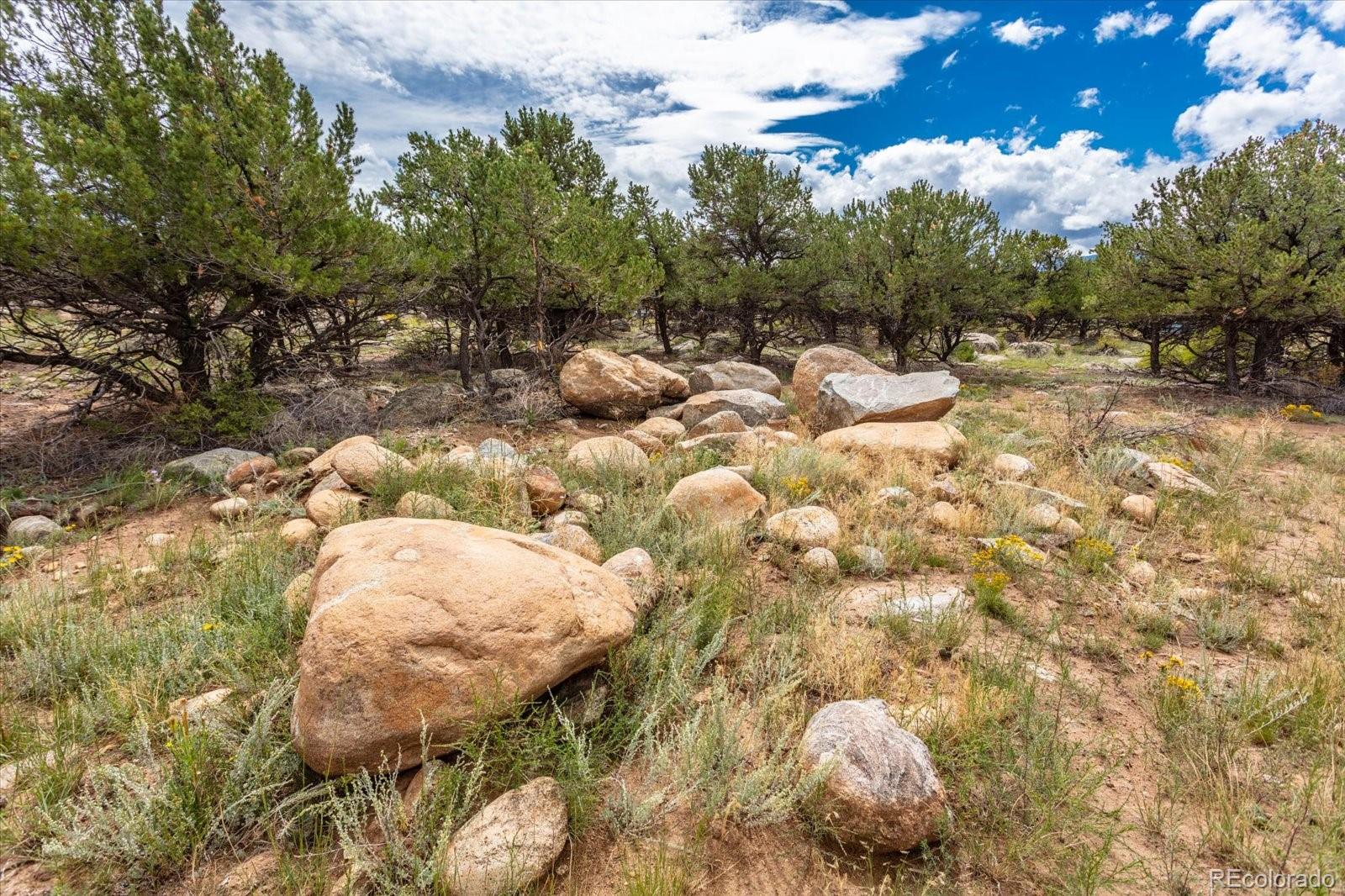 30224 N Us Highway 24 Buena Vista CO 81211