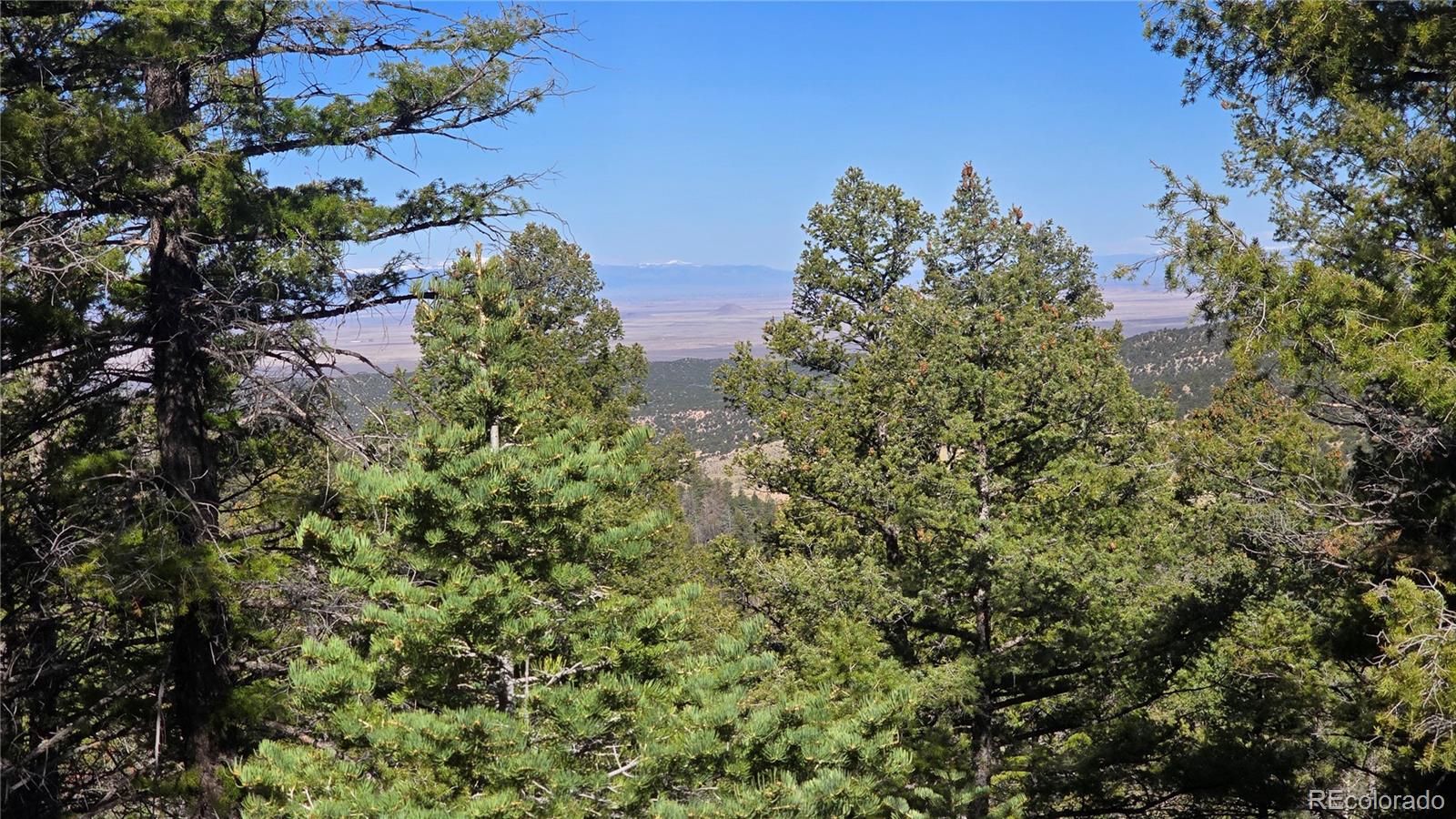 Lot 6034 Wood Road San Luis CO 81152