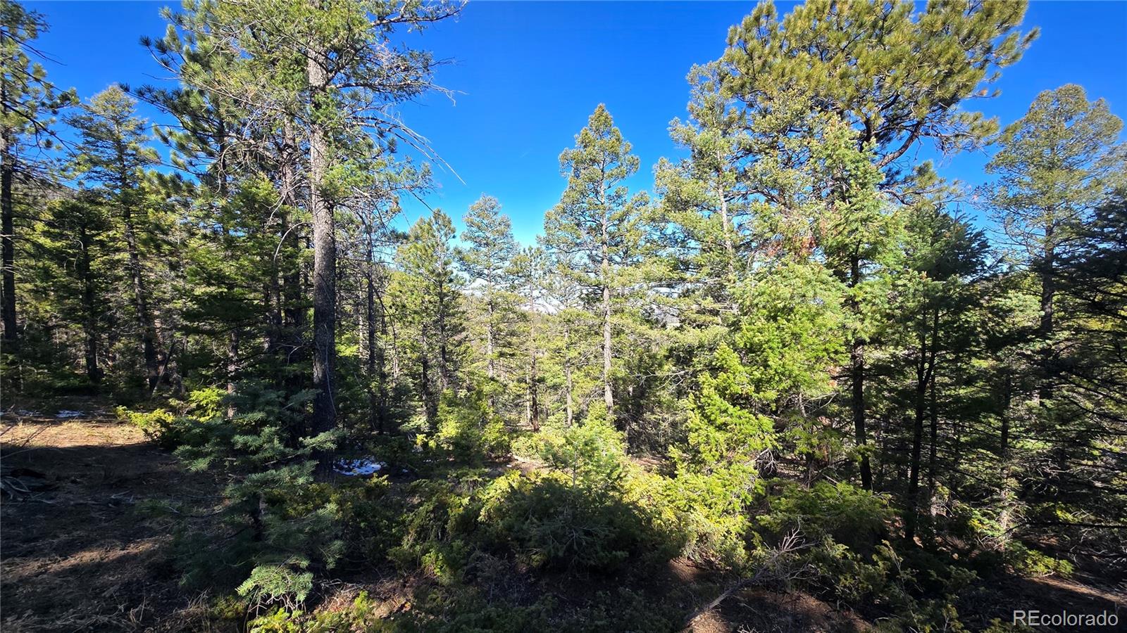 Lot 6034 Wood Road San Luis CO 81152