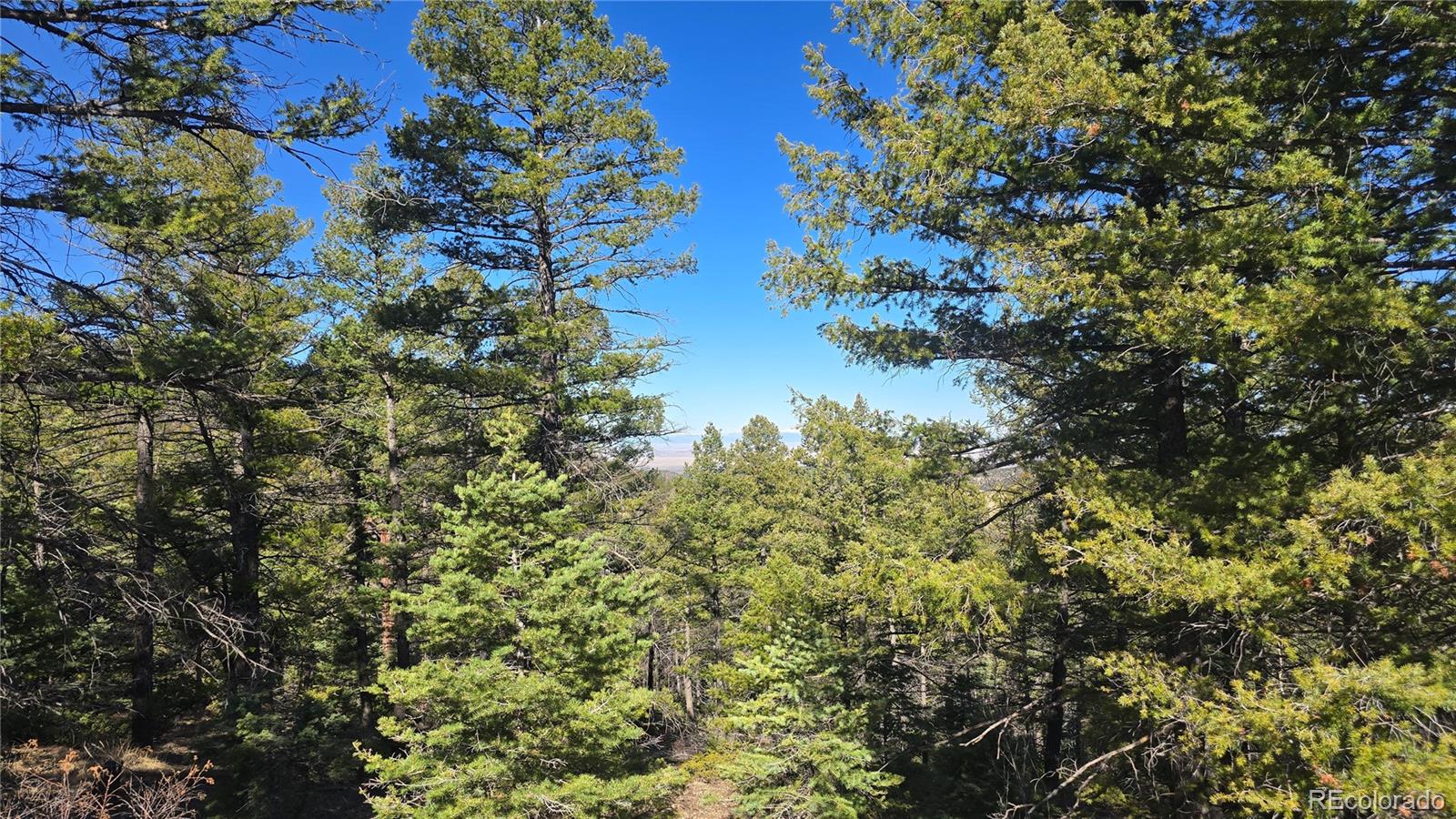 Lot 6034 Wood Road San Luis CO 81152
