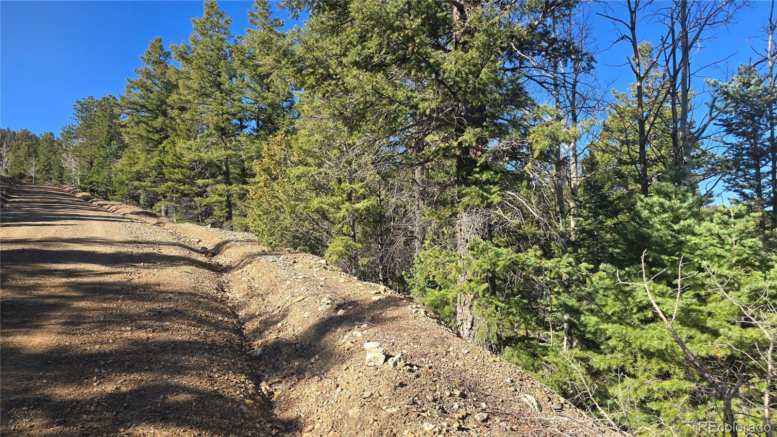 Lot 6034 Wood Road San Luis CO 81152