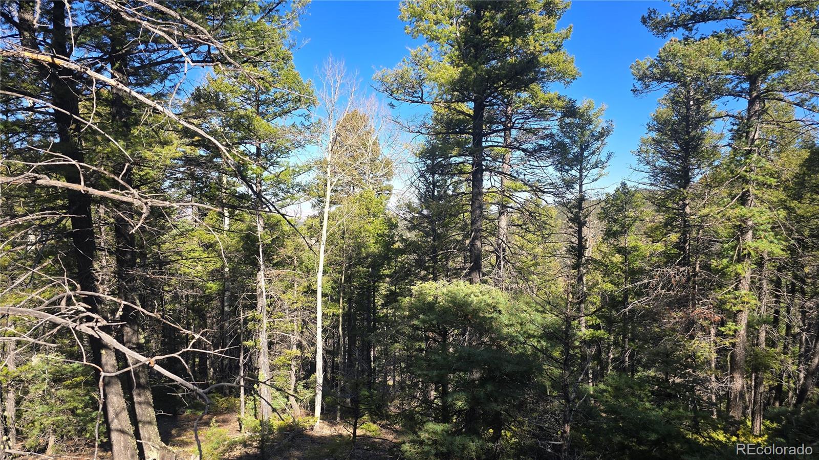Lot 6034 Wood Road San Luis CO 81152
