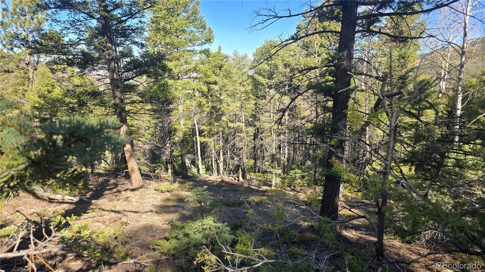 Lot 6034 Wood Road San Luis CO 81152