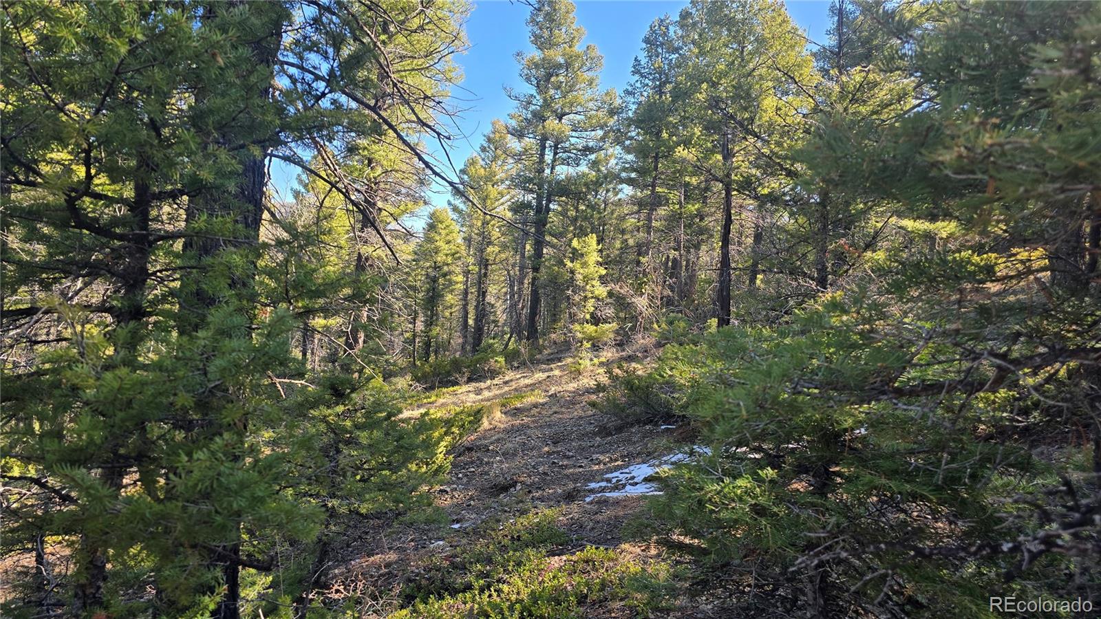 Lot 6034 Wood Road San Luis CO 81152