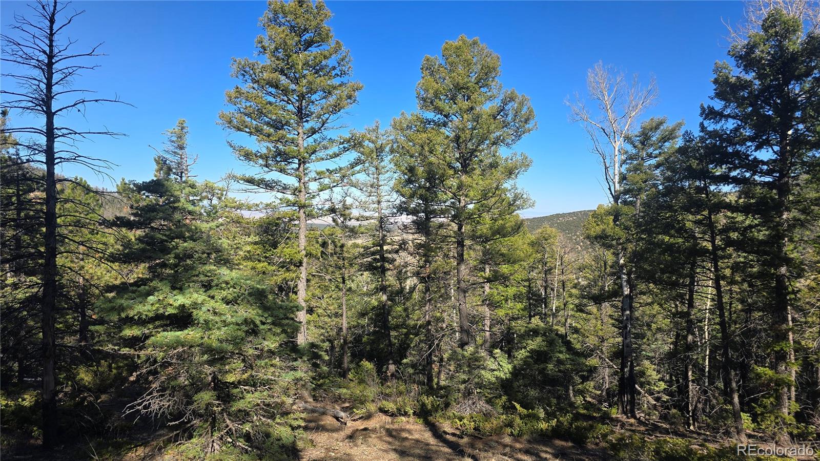 Lot 6034 Wood Road San Luis CO 81152