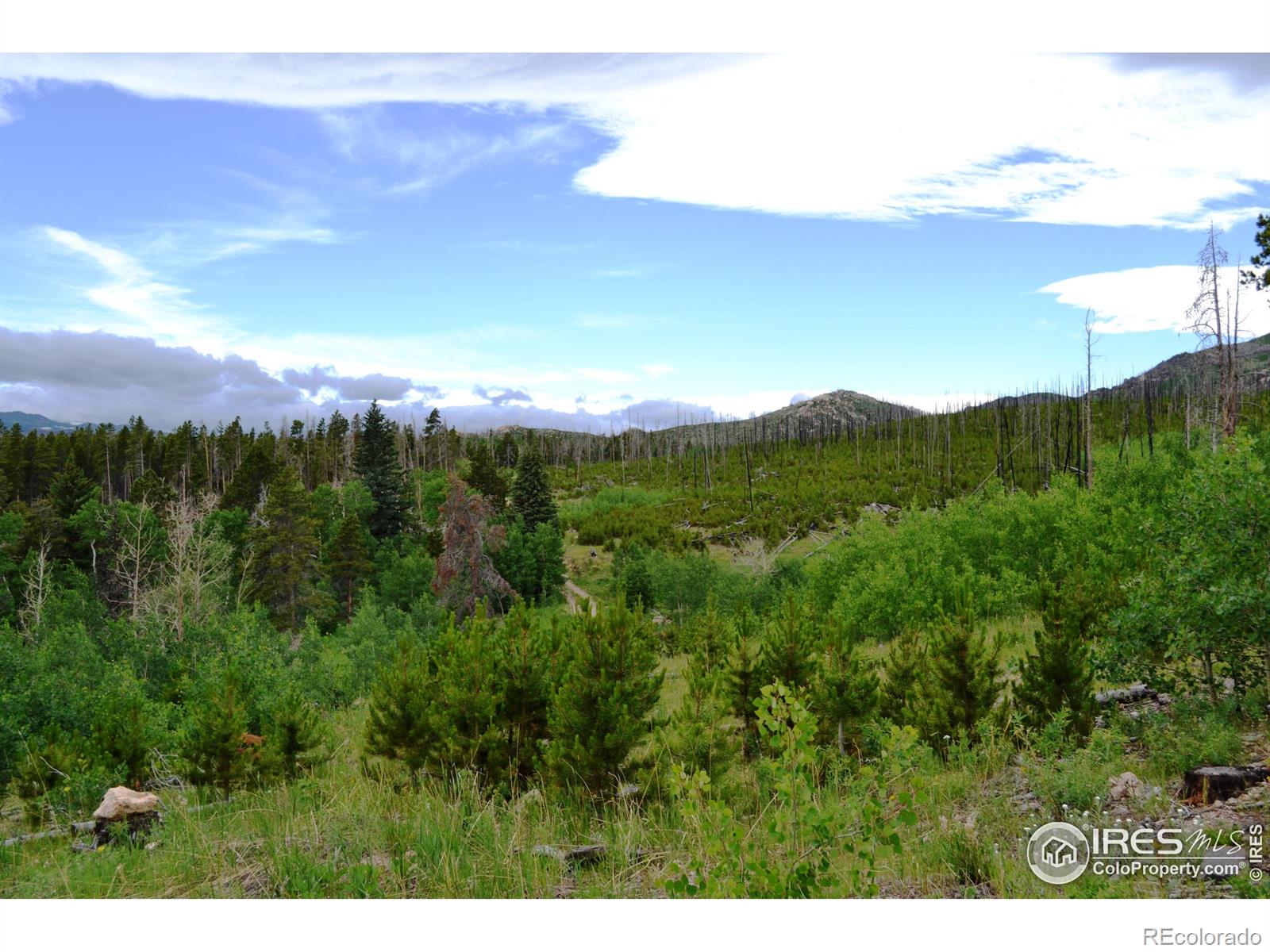 1256 Basking Dog Road Bellvue CO 80512
