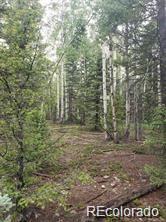 Lot 4-6 8th Street Jasper CO 81132