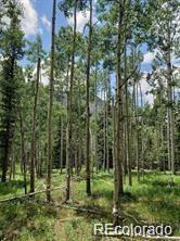 Lot 4-6 8th Street Jasper CO 81132