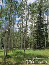 Lot 4-6 8th Street Jasper CO 81132