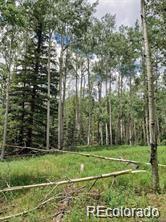 Lot 4-6 8th Street Jasper CO 81132