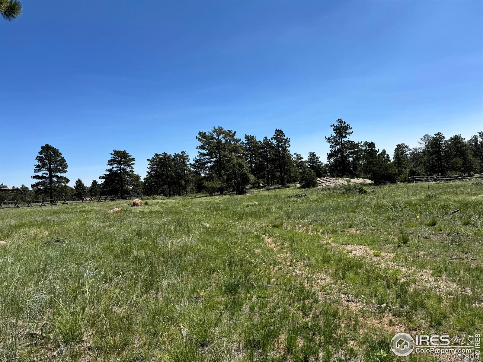 62 White Slide Mountain Court Livermore CO 80536