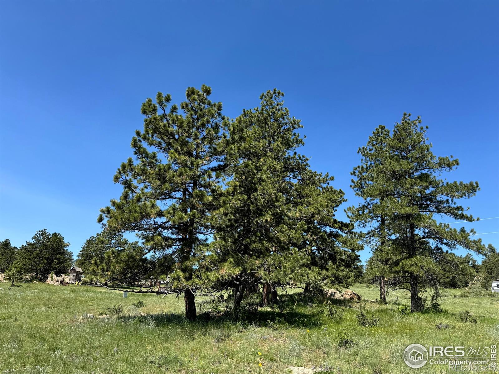 62 White Slide Mountain Court Livermore CO 80536