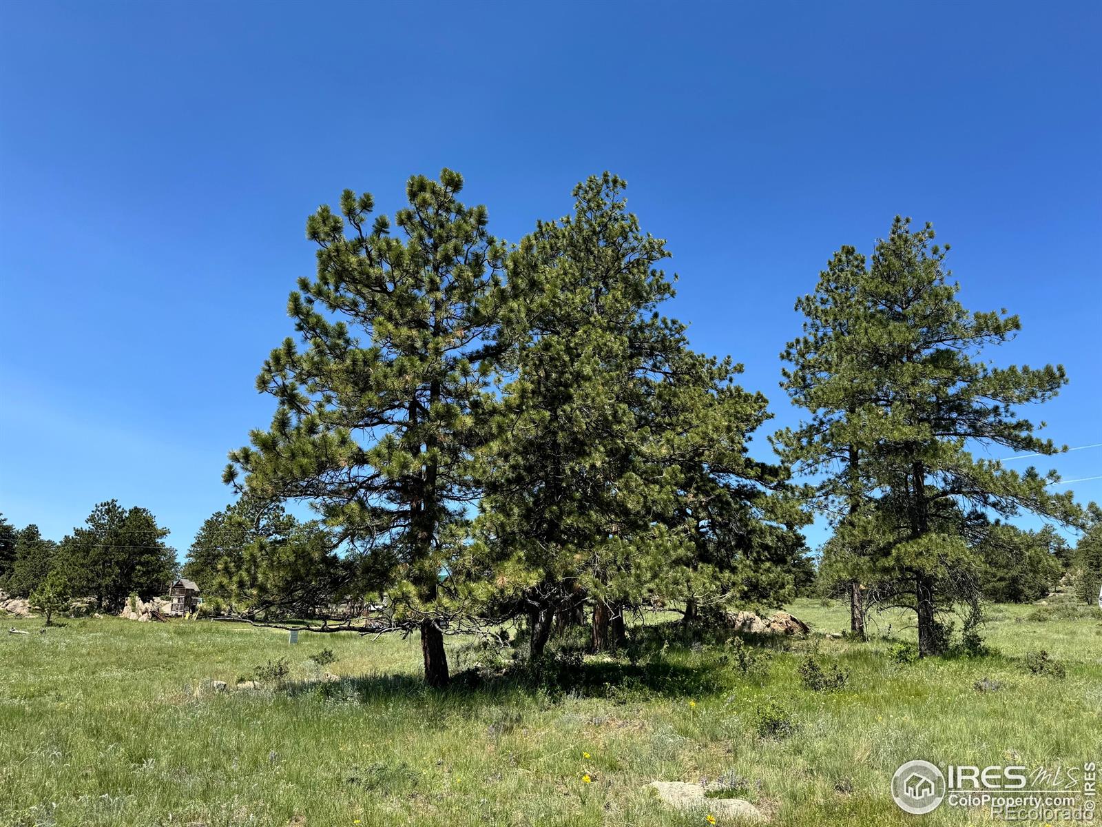 62 White Slide Mountain Court Livermore CO 80536