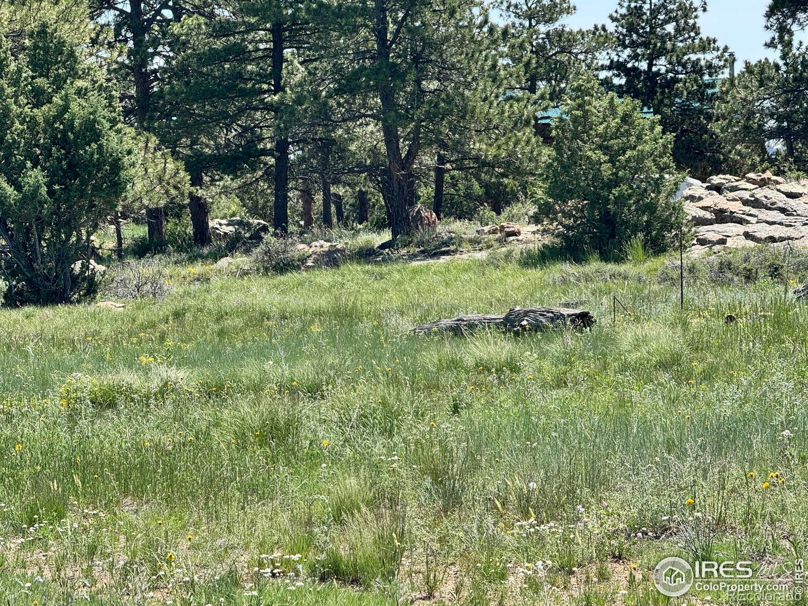 62 White Slide Mountain Court Livermore CO 80536