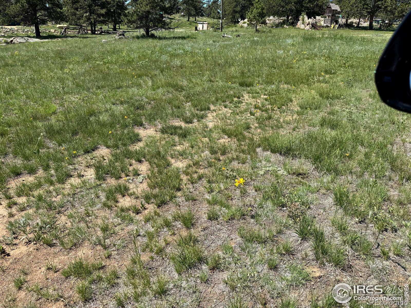 62 White Slide Mountain Court Livermore CO 80536