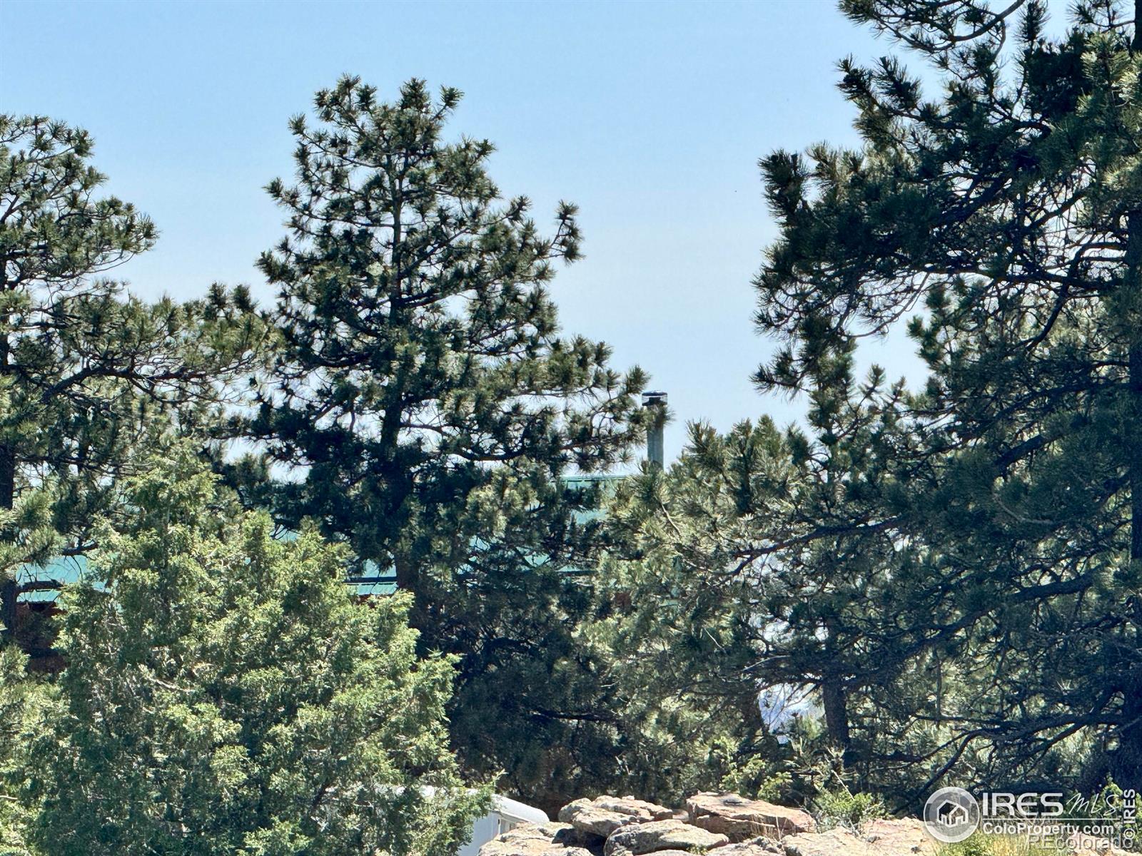 62 White Slide Mountain Court Livermore CO 80536