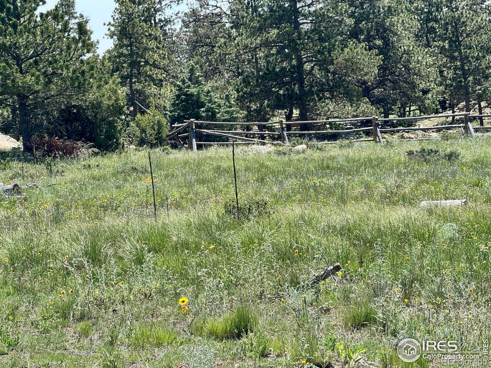 62 White Slide Mountain Court Livermore CO 80536