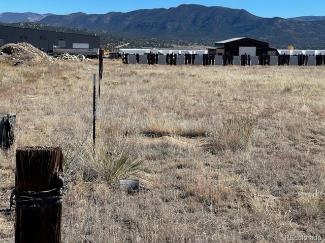 2151 S Pleasant Avenue Buena Vista CO 81211