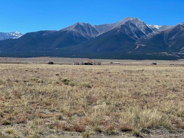 2151 S Pleasant Avenue Buena Vista CO 81211