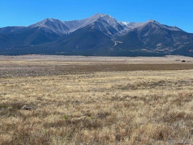 2151 S Pleasant Avenue Buena Vista CO 81211