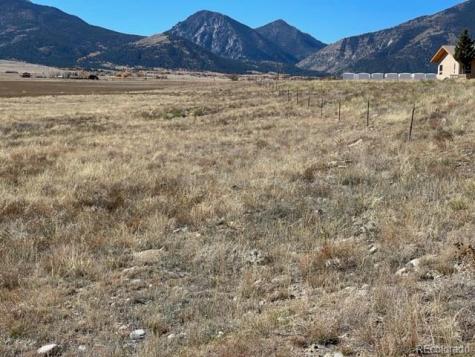 2151 S Pleasant Avenue Buena Vista CO 81211