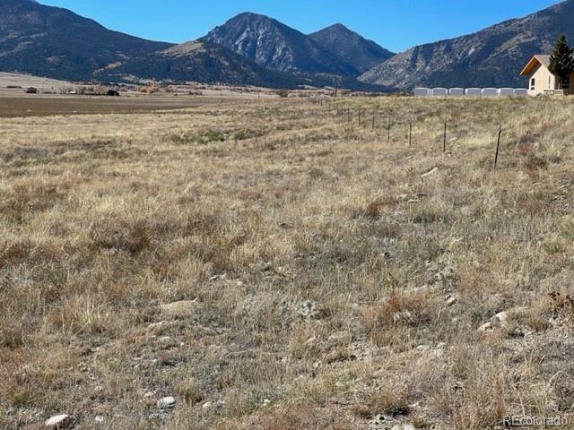 2151 S Pleasant Avenue Buena Vista CO 81211