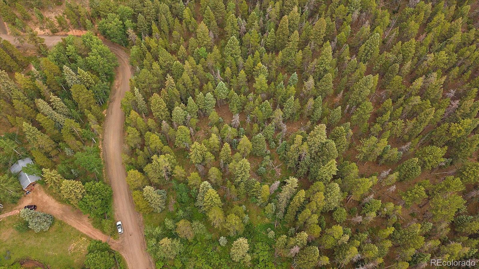 27578 Timber Trail Conifer CO 80433