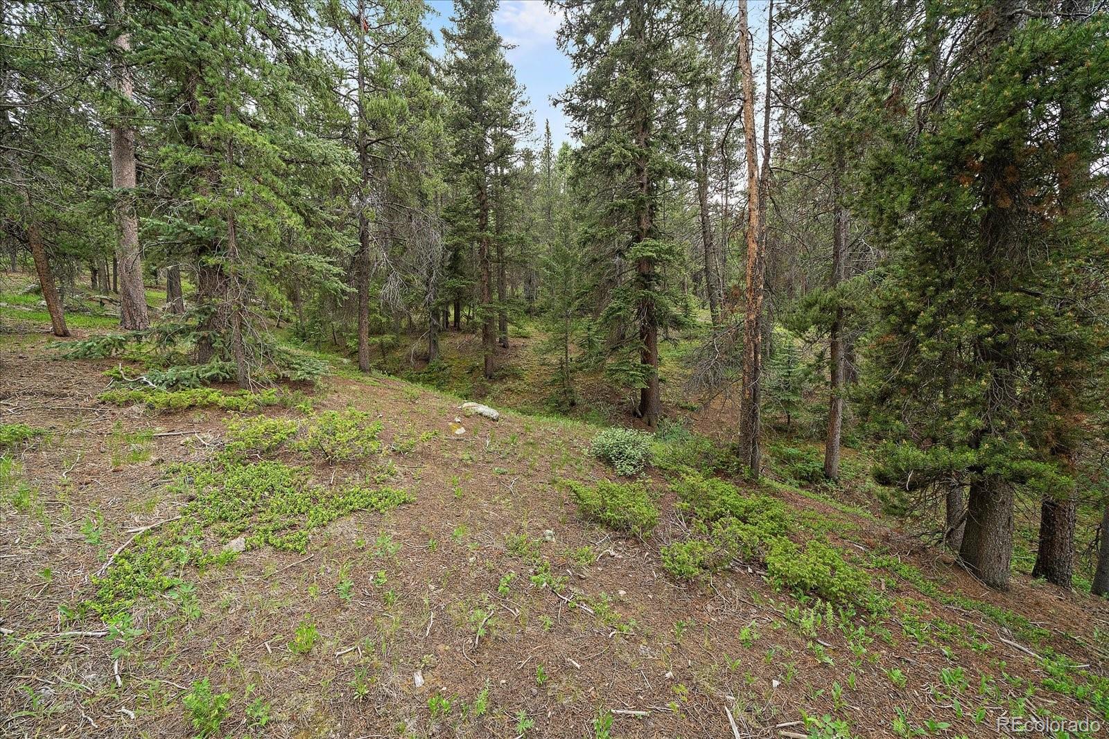 27578 Timber Trail Conifer CO 80433