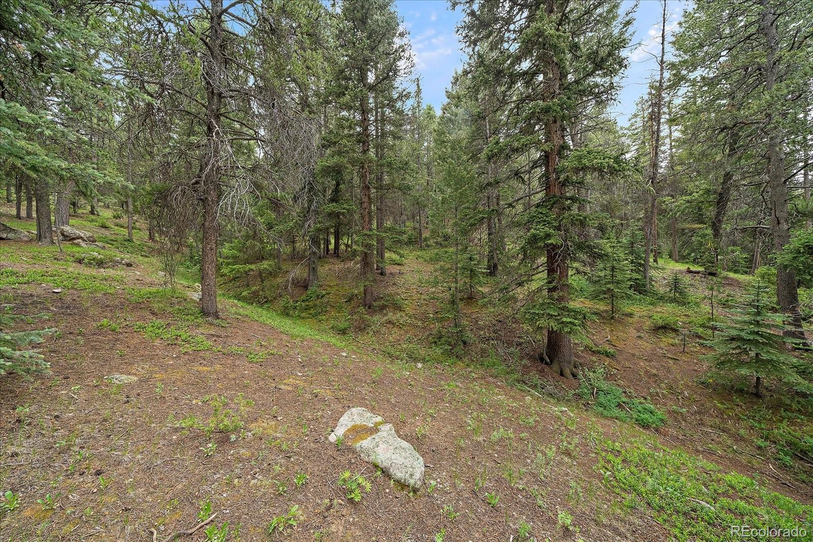 27578 Timber Trail Conifer CO 80433