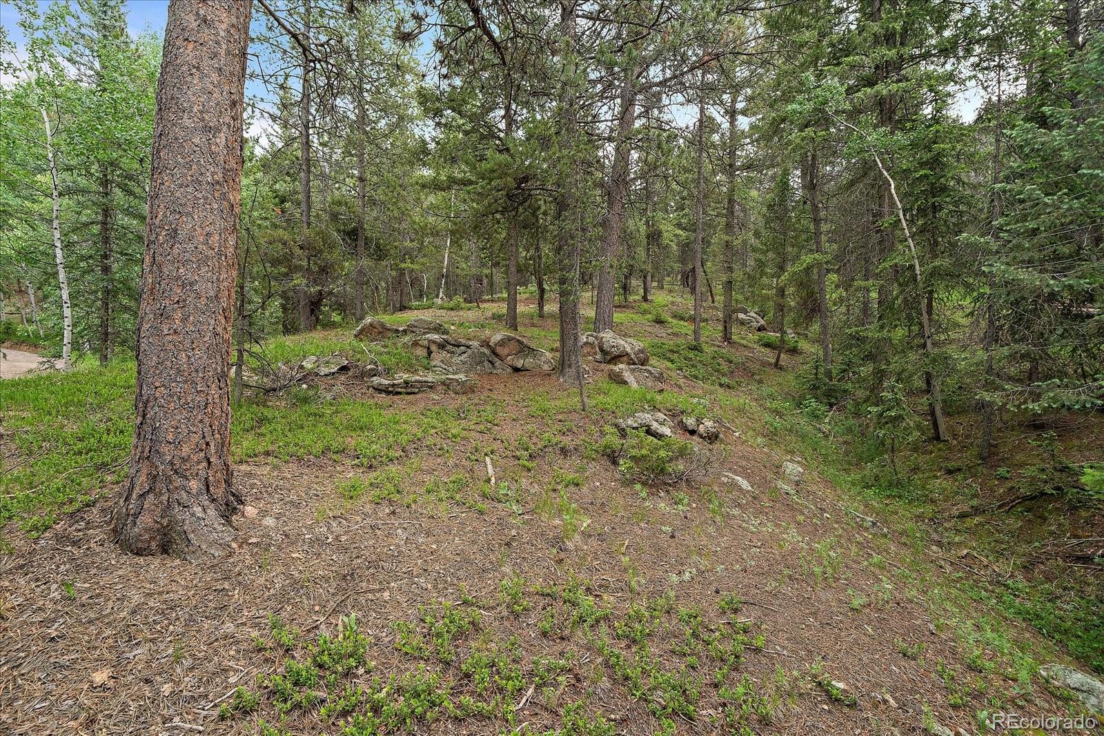 27578 Timber Trail Conifer CO 80433