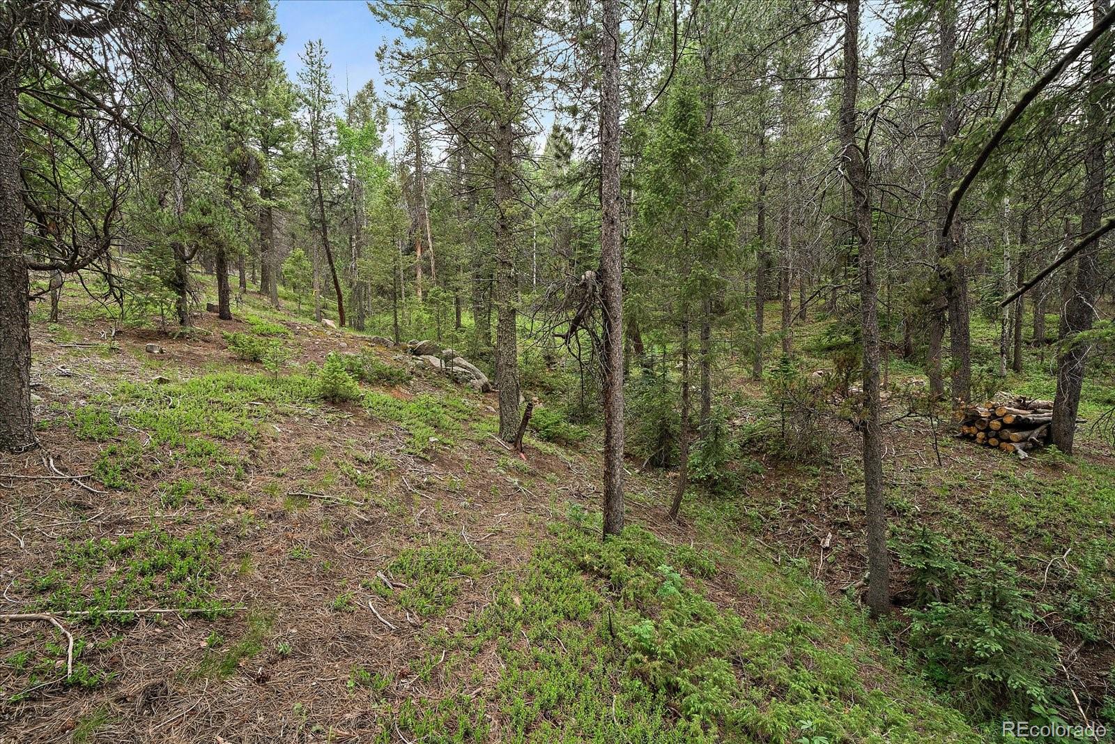 27578 Timber Trail Conifer CO 80433