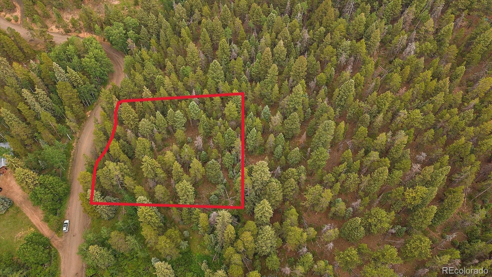 27578 Timber Trail Conifer CO 80433