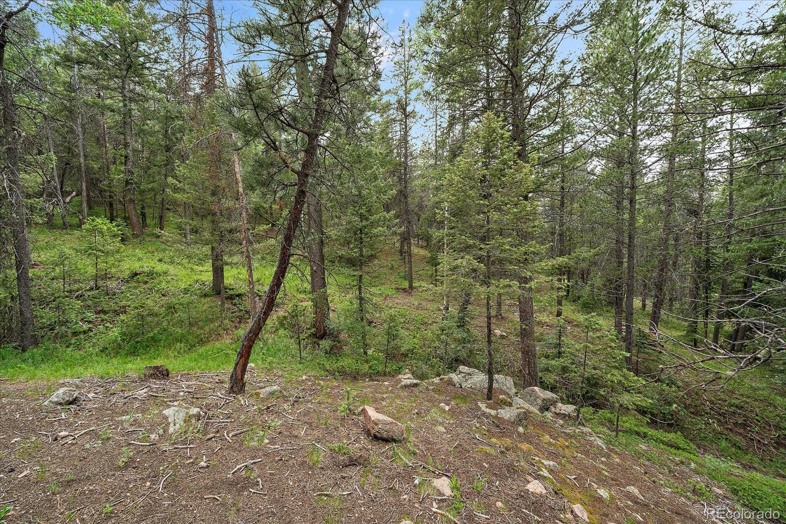27578 Timber Trail Conifer CO 80433