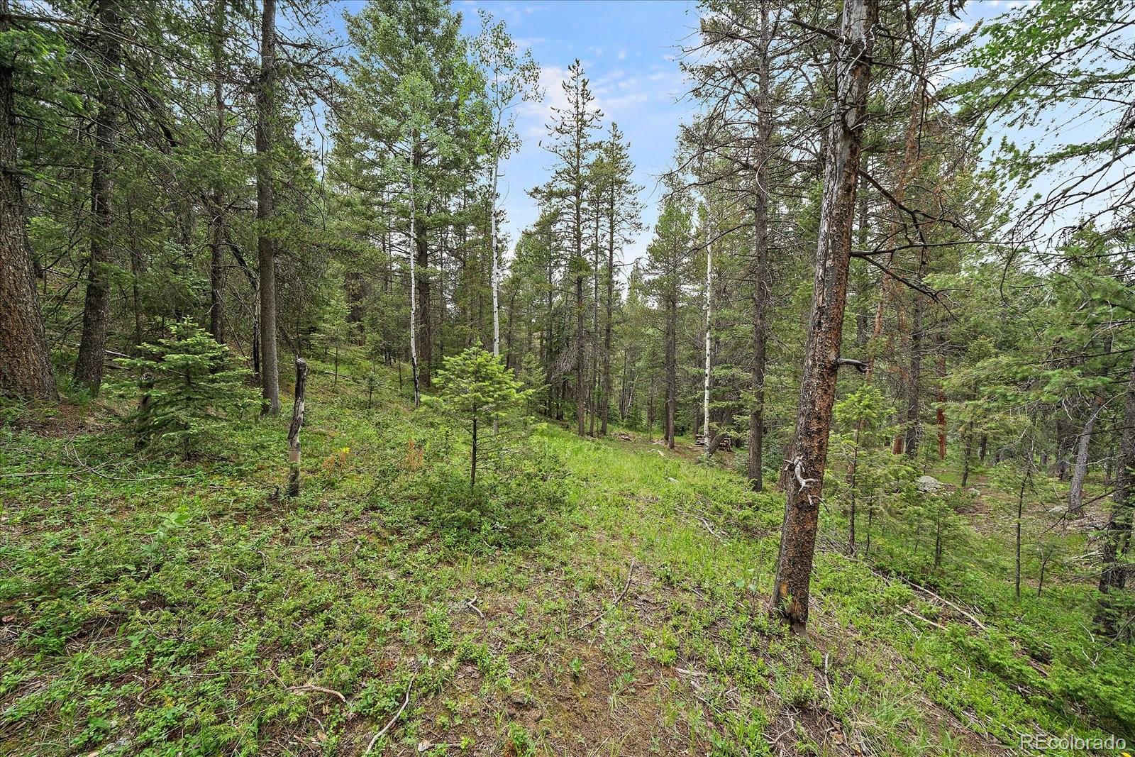27578 Timber Trail Conifer CO 80433