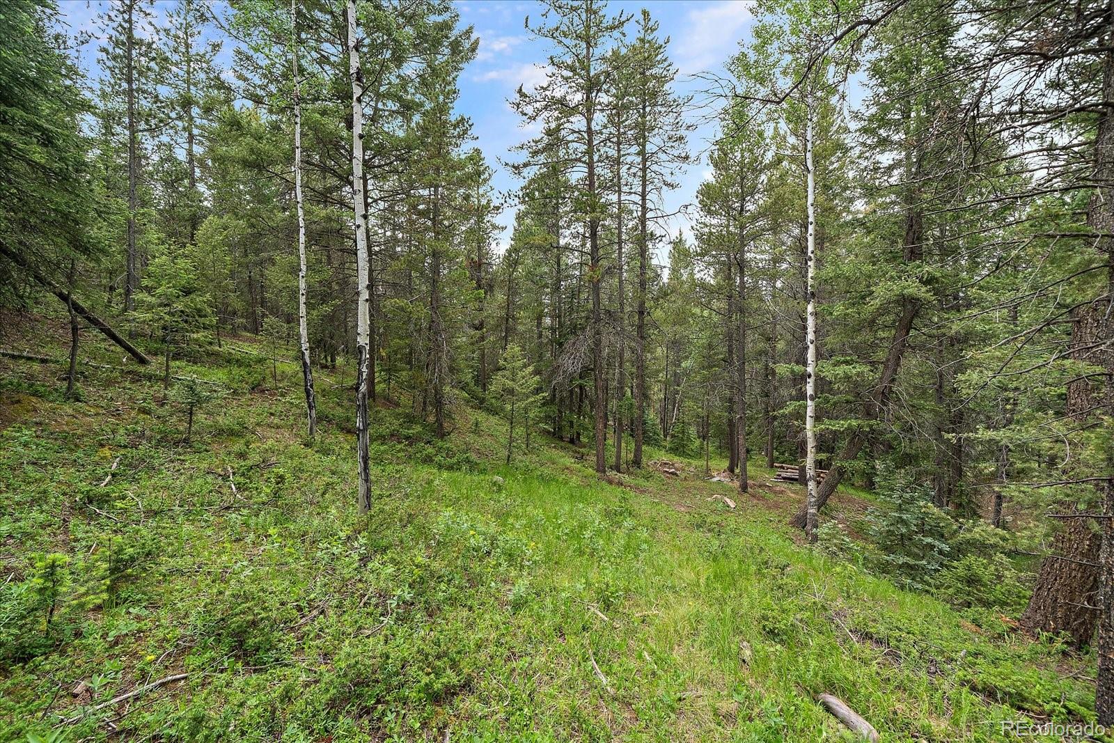 27578 Timber Trail Conifer CO 80433