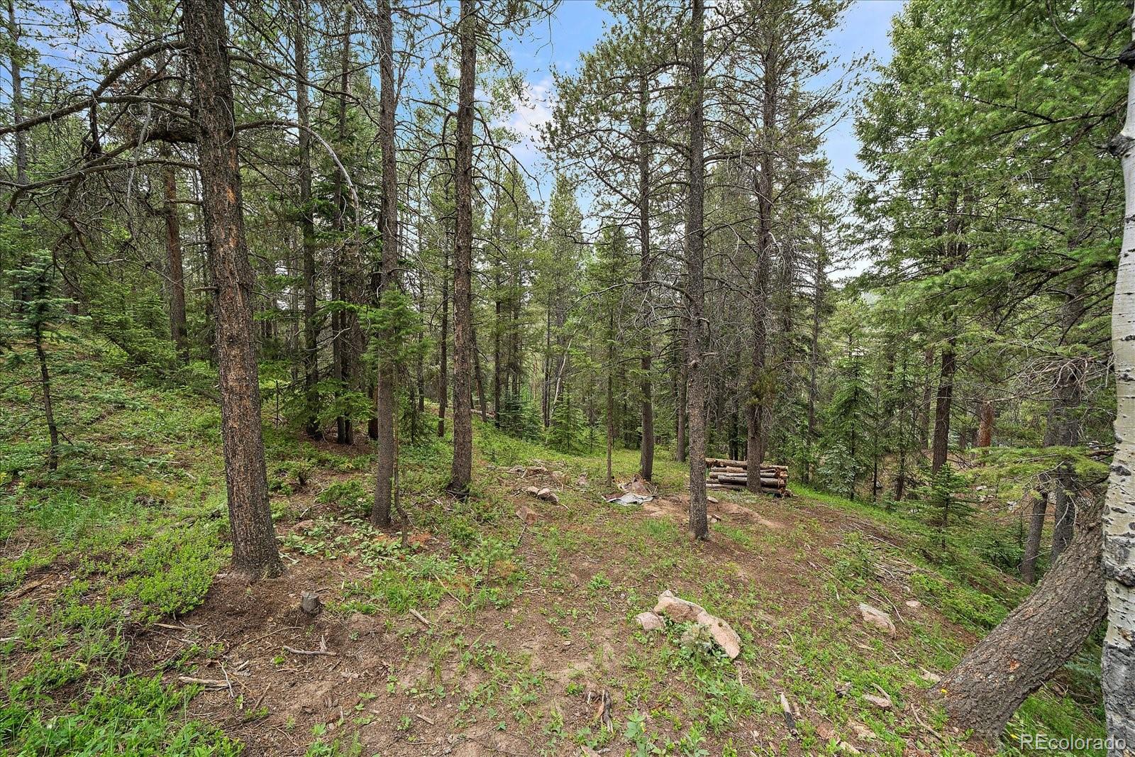 27578 Timber Trail Conifer CO 80433