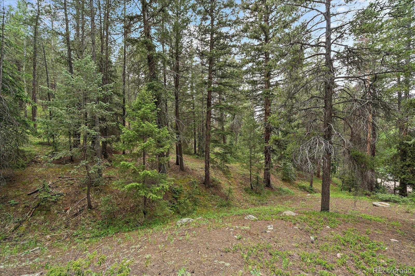27578 Timber Trail Conifer CO 80433