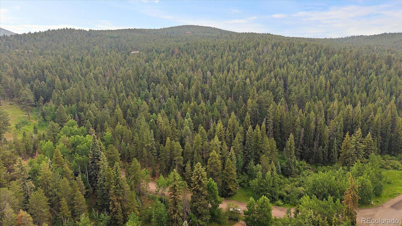 27578 Timber Trail Conifer CO 80433
