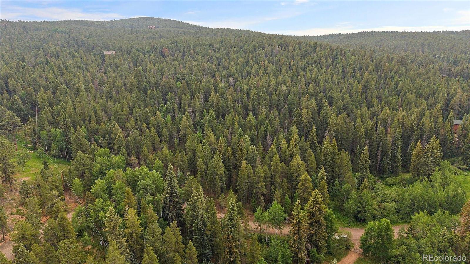 27578 Timber Trail Conifer CO 80433