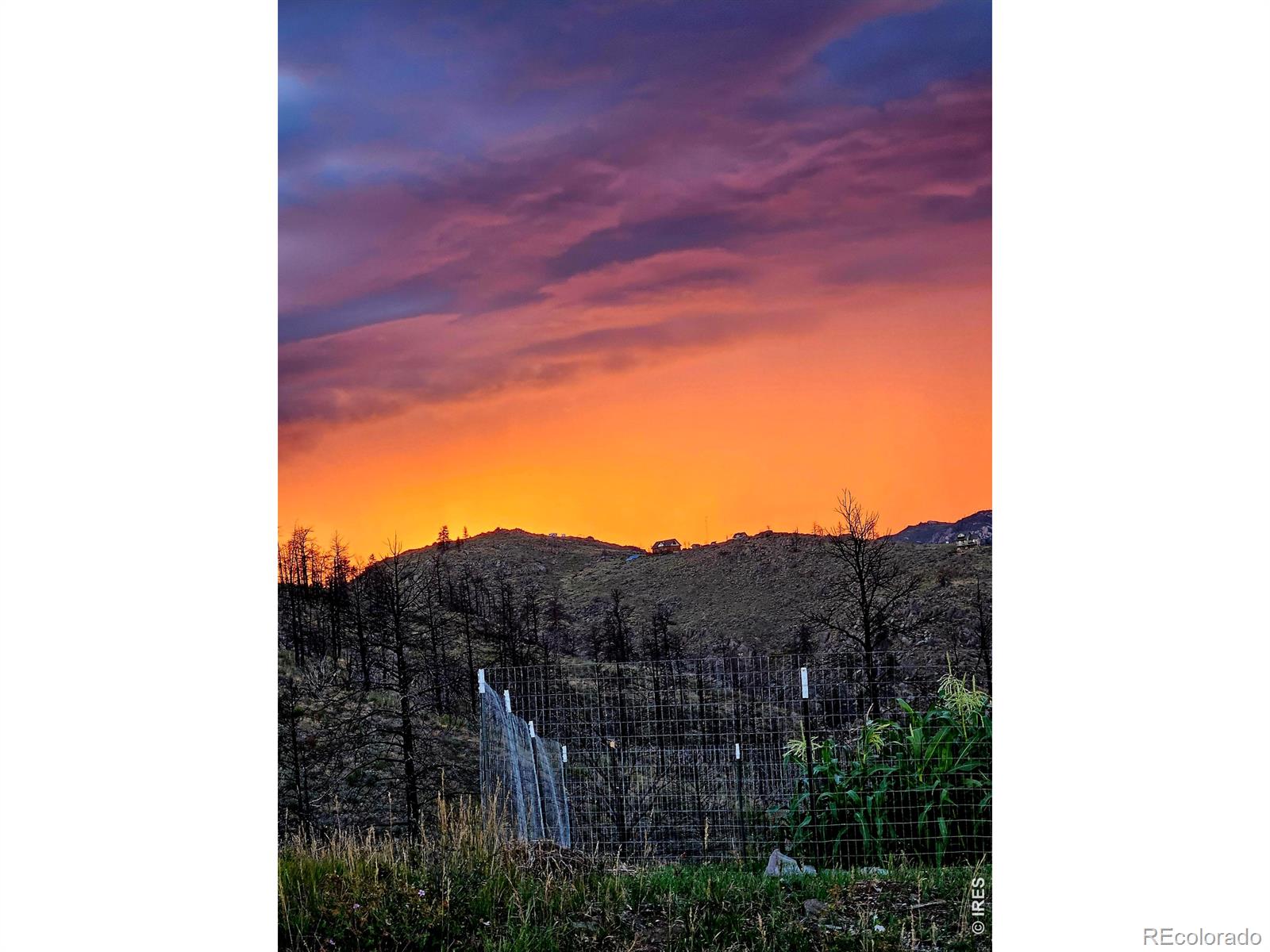 957 Stringtown Gulch Road Bellvue CO 80512